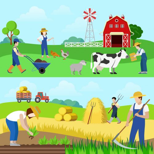 Flat style set of farm profession worker people web banner hero image vector. Farmer stockbreeder grazier chicken breeder agriculturist harvester scythe mow hay mower tractor. Creative people collection.